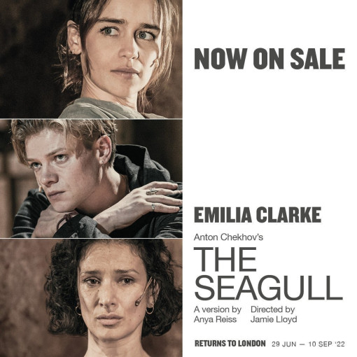 The Seagull The Seagull
